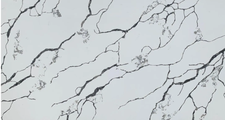 Abstract black and white patterns resembling branch-like structures.