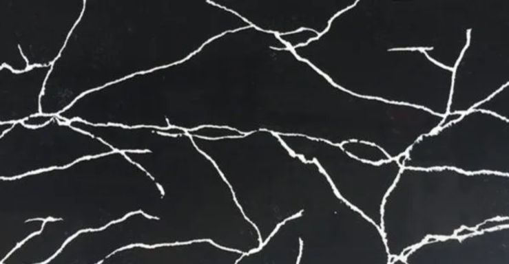 White, thin lines resembling branches or veins on a black background.
