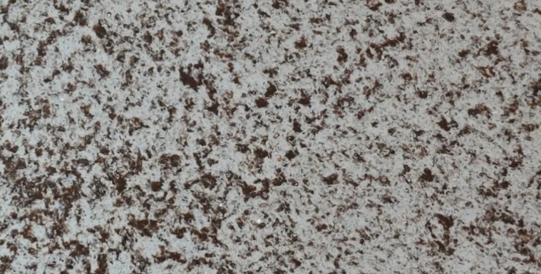 A textured surface with a mixture of light and dark speckles.